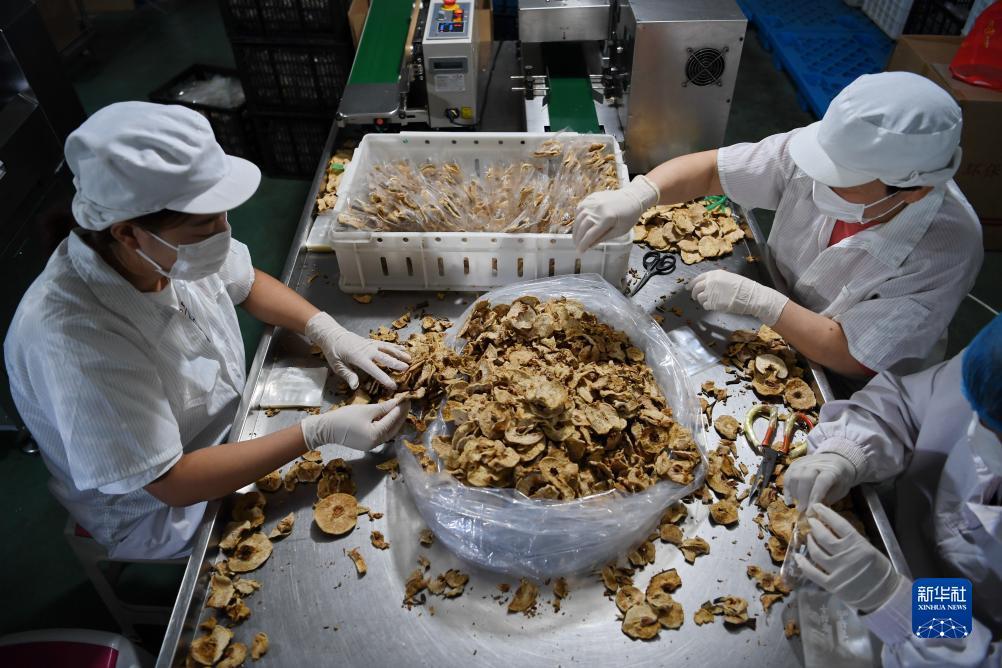 全球最大mg娱乐平台